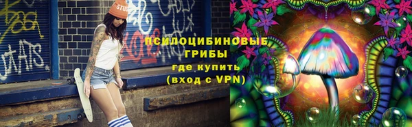 прущий лед Козельск