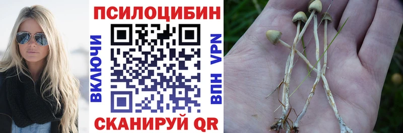 Купить  Углегорск  Галлюциногенные грибы мухоморы 